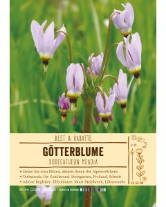 Sortenschild, Dodecatheon meadia