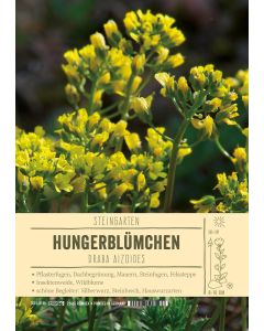 Sortenschild, Draba aizoides