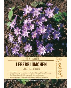 Sortenschild, Hepatica nobilis