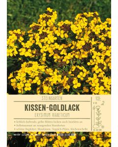 Sortenschild, Erysimum rhaeticum