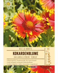 Sortenschild, Gaillardia Hybride 'Kobold'