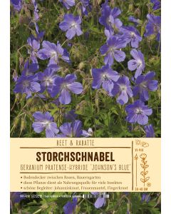 Sortenschild, Geranium Pratense-Hybride 'Johnson's Blue'