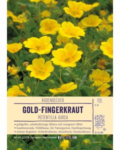 Sortenschild, Potentilla aurea