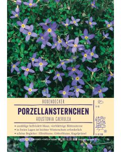 Sortenschild, Houstonia caerulea
