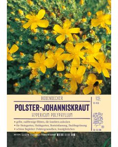 Sortenschild, Hypericum polyphyllum