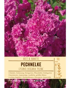 Sortenschild, Lychnis viscaria 'Plena'