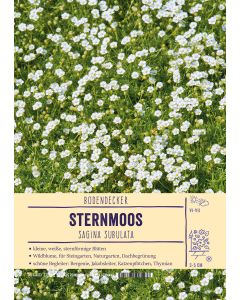 Sortenschild, Sagina subulata