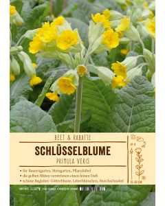 Sortenschild, Primula veris