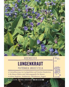 Sortenschild, Pulmonaria angustifolia