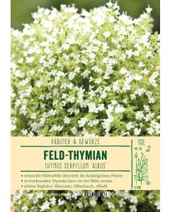 Sortenschild, Thymus serpyllum 'Albus'