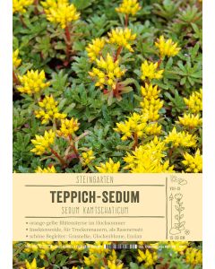 Sortenschild, Sedum kamtschaticum