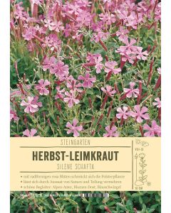 Sortenschild, Silene schafta