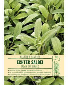Sortenschild, Salvia officinalis