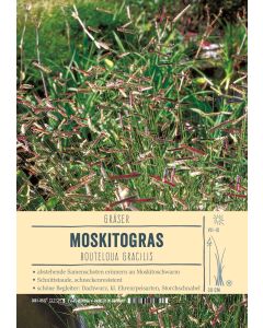 Sortenschild, Bouteloua gracilis