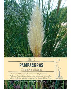 Sortenschild, Cortaderia selloana