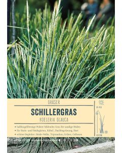 Sortenschild, Koeleria glauca