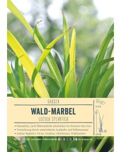 Sortenschild, Luzula sylvatica