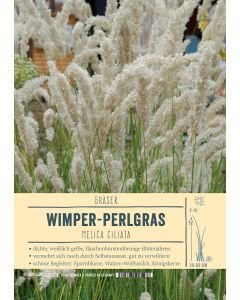 Sortenschild, Melica ciliata