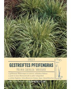 Sortenschild, Molinia caerulea 'Variegata'