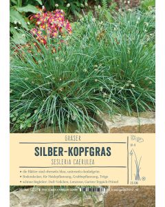 Sortenschild, Sesleria caerulea