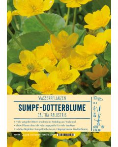 Sortenschild, Caltha palustris