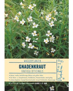 Sortenschild, Gratiola officinalis