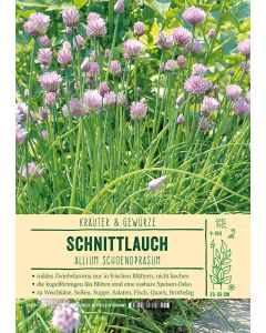 Sortenschild, Allium schoenoprasum