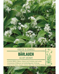 Sortenschild, Allium ursinum