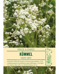 Sortenschild, Carum carvi