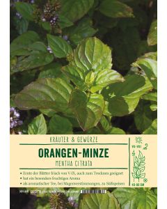 Sortenschild, Mentha citrata