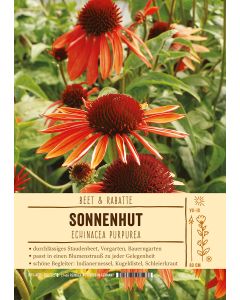 Sortenschild, Echinacea purpurea