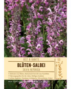 Sortenschild, Salvia nemorosa