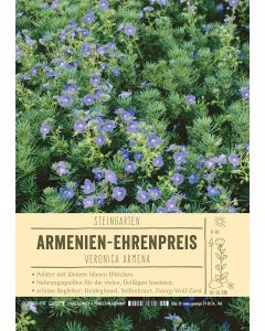 Sortenschild, Veronica armena