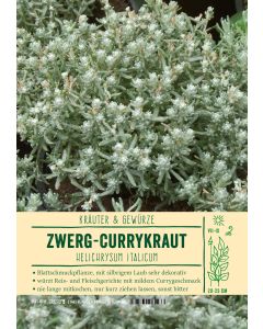 Sortenschild, Helichrysum italicum