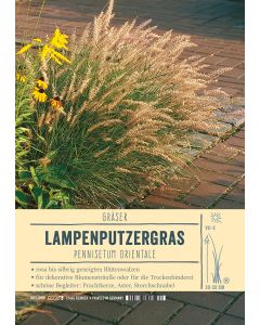 Sortenschild, Pennisetum orientale