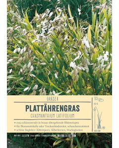 Sortenschild, Chasmanthium latifolium