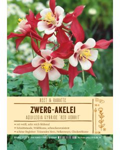 Sortenschild, Aquilegia Hybride 'Red Hobbit'
