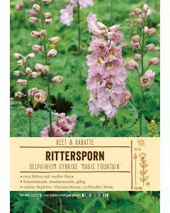 Sortenschild, Delphinium Hybride 'Magic Fountain'
