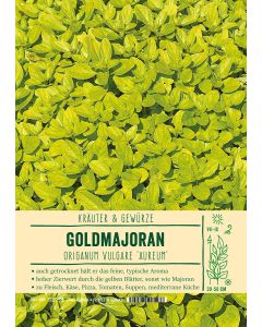 Sortenschild, Origanum vulg. 'Aureum'