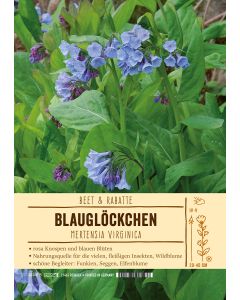 Sortenschild, Mertensia virginica