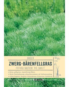 Sortenschild, Festuca gautieri 'Pic Carlit'
