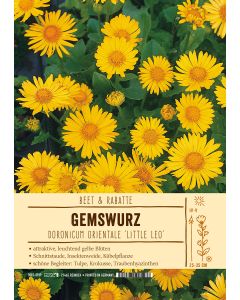 Sortenschild, Doronicum orientale 'Little Leo'