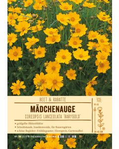 Sortenschild, Coreopsis lanceolata 'Babygold'