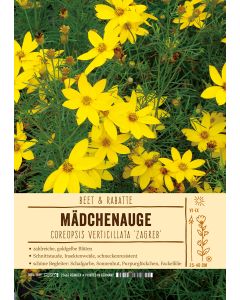 Sortenschild, Coreopsis verticillata 'Zagreb'