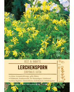 Sortenschild, Corydalis lutea
