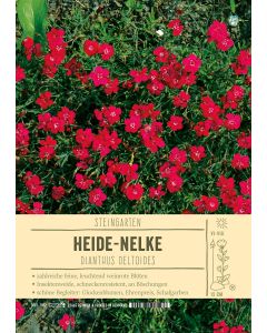 Sortenschild, Dianthus deltoides