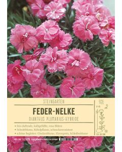 Sortenschild, Dianthus Plumarius-Hybride