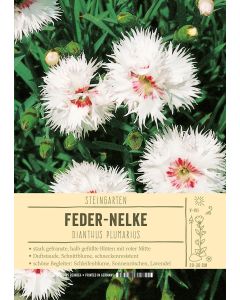 Sortenschild, Dianthus plumarius