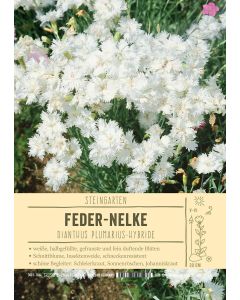 Sortenschild, Dianthus Plumarius-Hybride