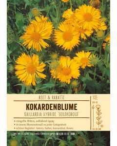 Sortenschild, Gaillardia Hybride 'Goldkobold'